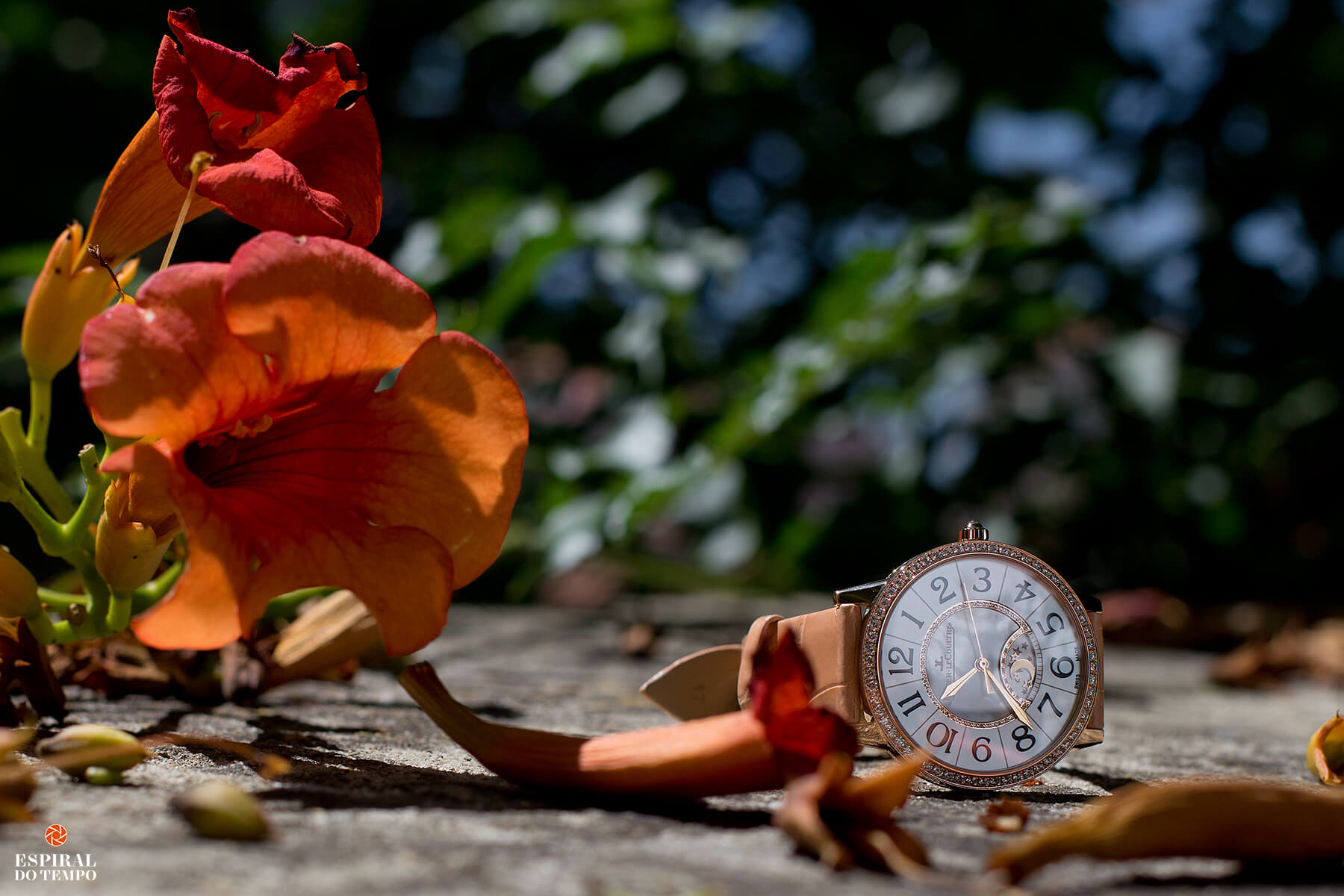 Watch my skin |Jaeger-LeCoultre |Rendez-Vous Night & Day