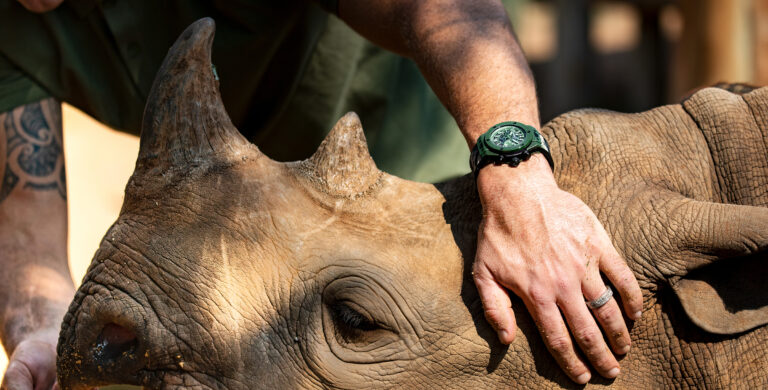 Kevin Pietersen, fundador da SORAI com um Hublot Big Bang Soria no pulso enquanto acaricia o focinho de um rinoceronte.