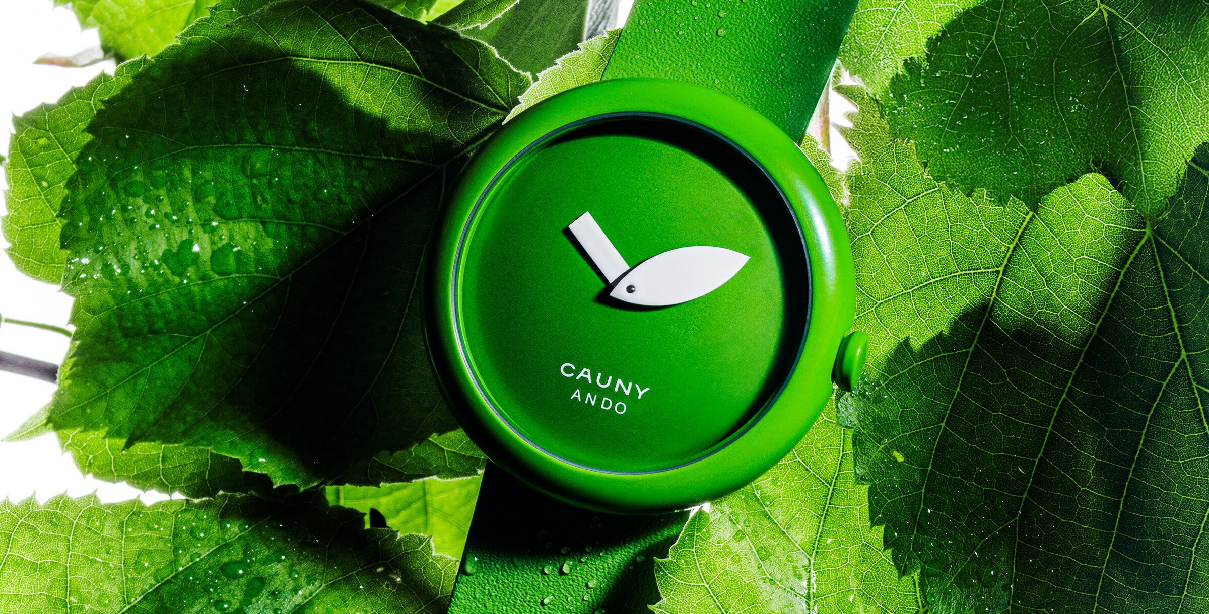 Cauny x Tadao Ando