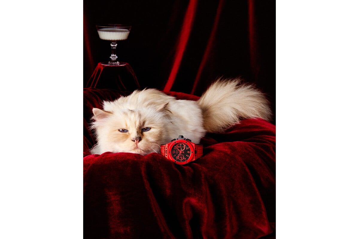 A gata Choupette é a estrela da nova campanha de celebração dos 20 anos do Big Bang | Foto: Carlijn Jacobs para a Hublot